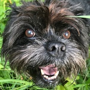 Meet your Posher, Lori